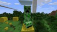 /album/galeria-de-fotos/creeper-photo-jpg/